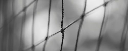 Why You Should Use Roof Bird Netting