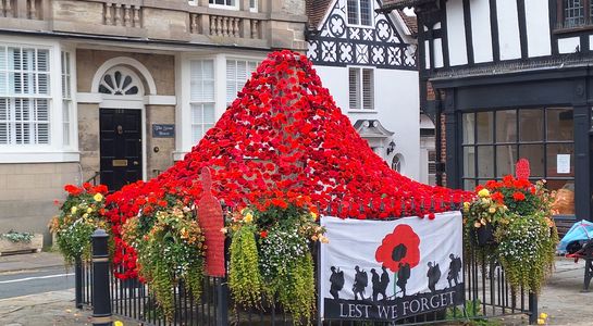 1mm x 50mm used for Poppy display