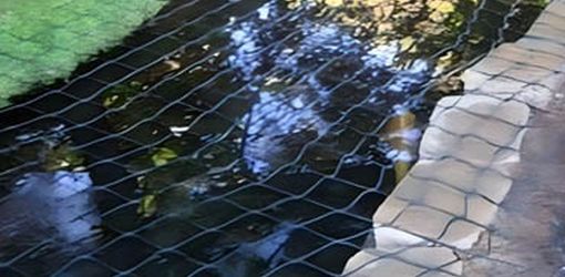 Fish pond with netting protection