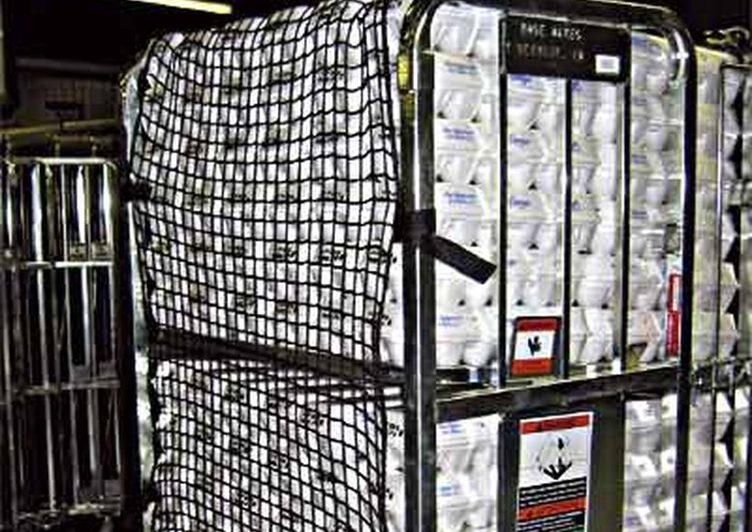 pallet-securing net