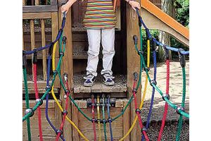 V-shaped net bridge