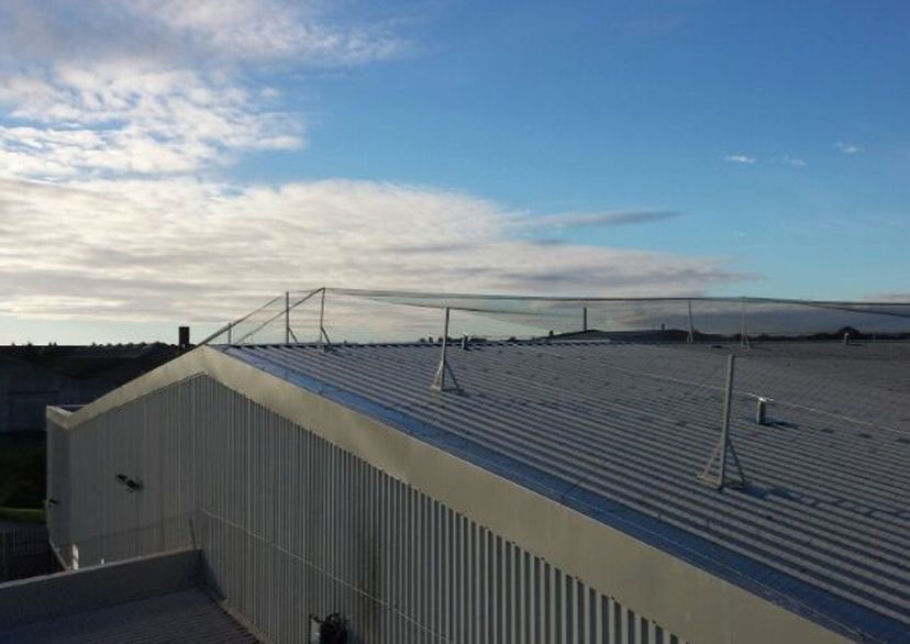 Roof Install