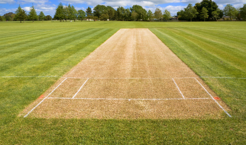 Cricket Pitch