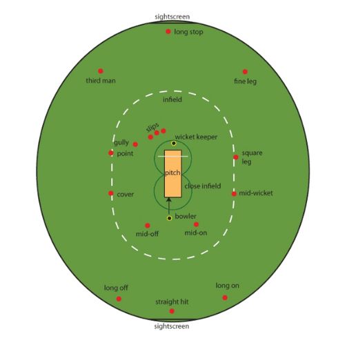 Different Parts of a Cricket Pitch?