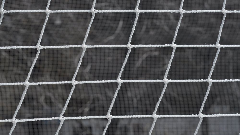 Why You Should Use Roof Bird Netting Huck Huck