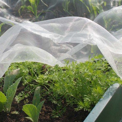 DIY Insect Nets for Windows to Keep Your Home Bug Free