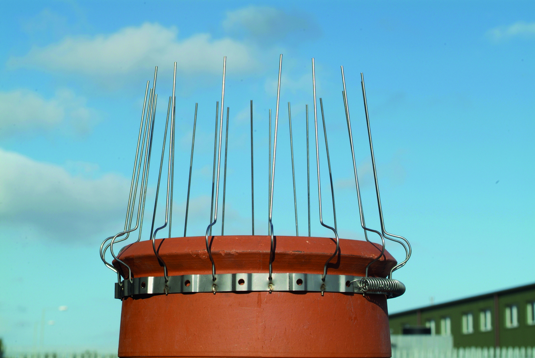 How to Deter Birds From Your Garden Cheaply & Effectively News Huck