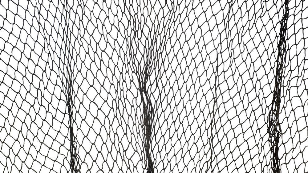 Why You Should Use Roof Bird Netting Huck Huck