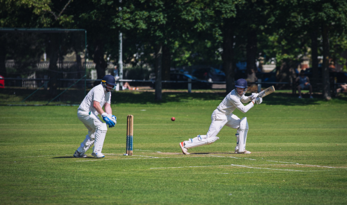 Cricket Pitch