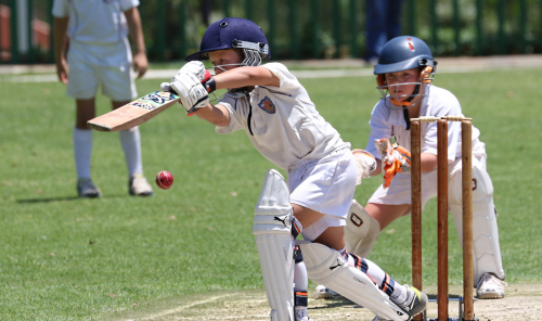 Cricket Pitch