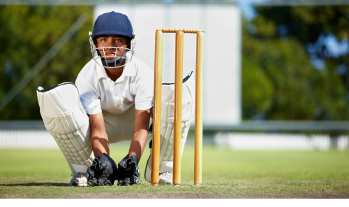 Cricket Pitch