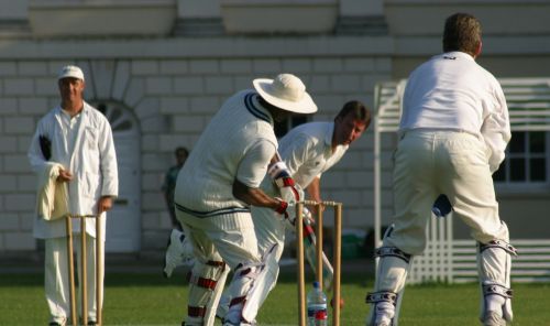 Cricket Pitch