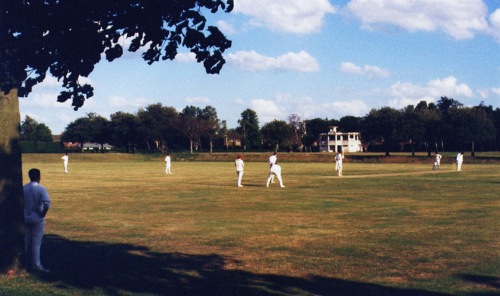 Cricket Pitch