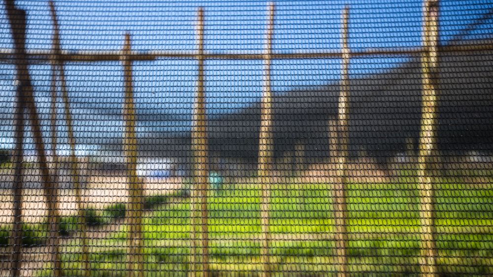 Privacy netting clearance