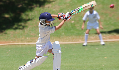 Cricket Pitch