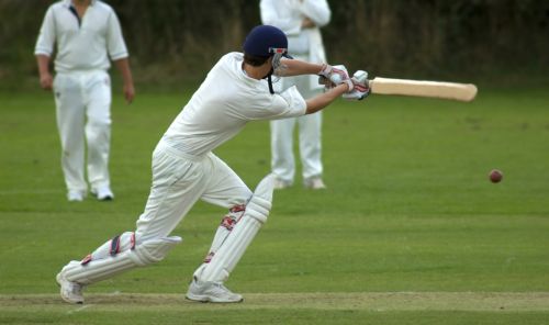 Cricket Pitch