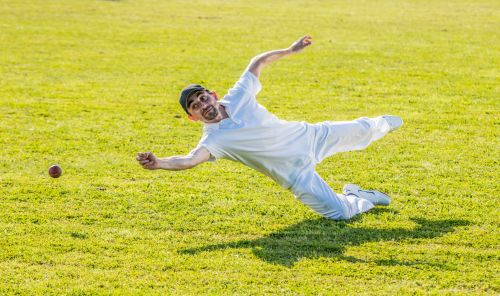 Cricket Pitch