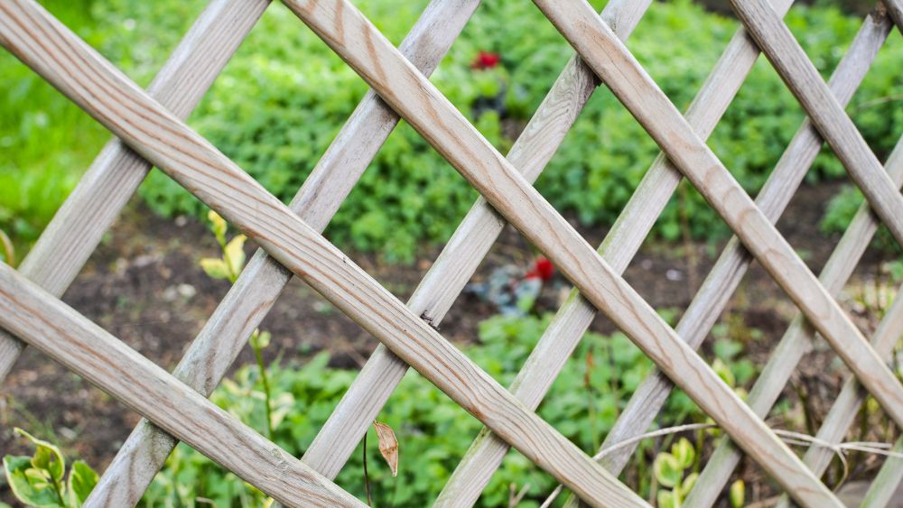 Garden Trellis Netting Tips & Tricks - Huck - Huck